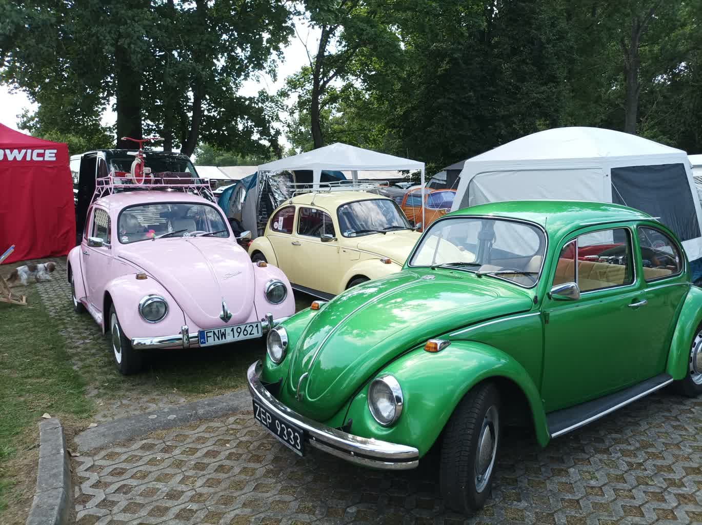 Miłośnicy garbusów przyjechali do Zielonej Góry [ZDJĘCIA] Radio Zachód - Lubuskie