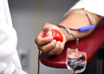 Fakty i mity na temat krwiodawstwa Radio Zachód - Lubuskie