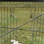 Fot. Lubuska Policja