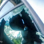 Fot. KMP Gorzów Wlkp.