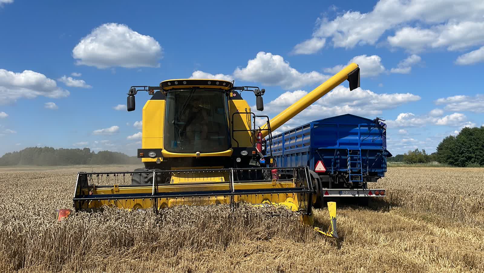 W Zielonej Górze trwają żniwa! [WIDEO i ZDJĘCIA] Radio Zachód - Lubuskie