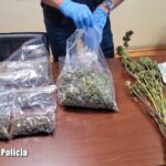 Fot. Lubuska Policja