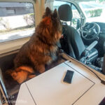 Fot. KMP w Gorzowie Wlkp.