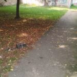 Fot. KPP Świebodzin