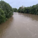 fot. Małgorzata Trzcionkowska