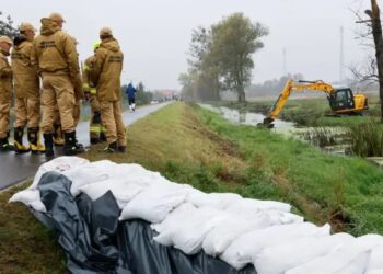 Foto: PAP/Tomasz Wojtasik