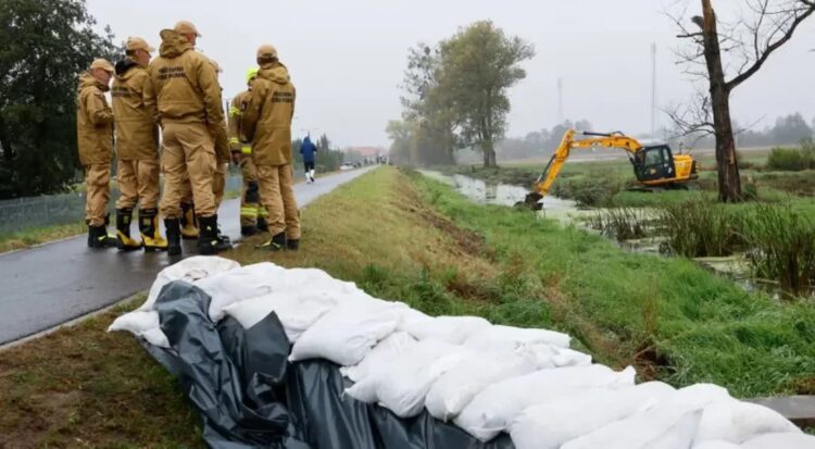 Foto: PAP/Tomasz Wojtasik