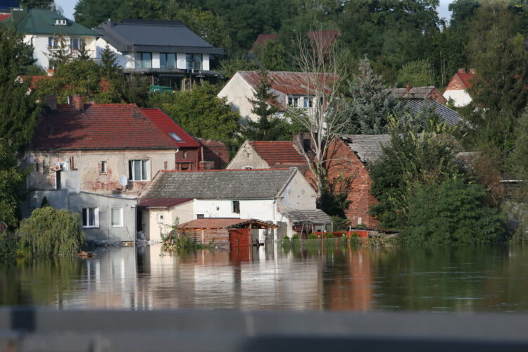 fot: PAP/Lech Muszyński