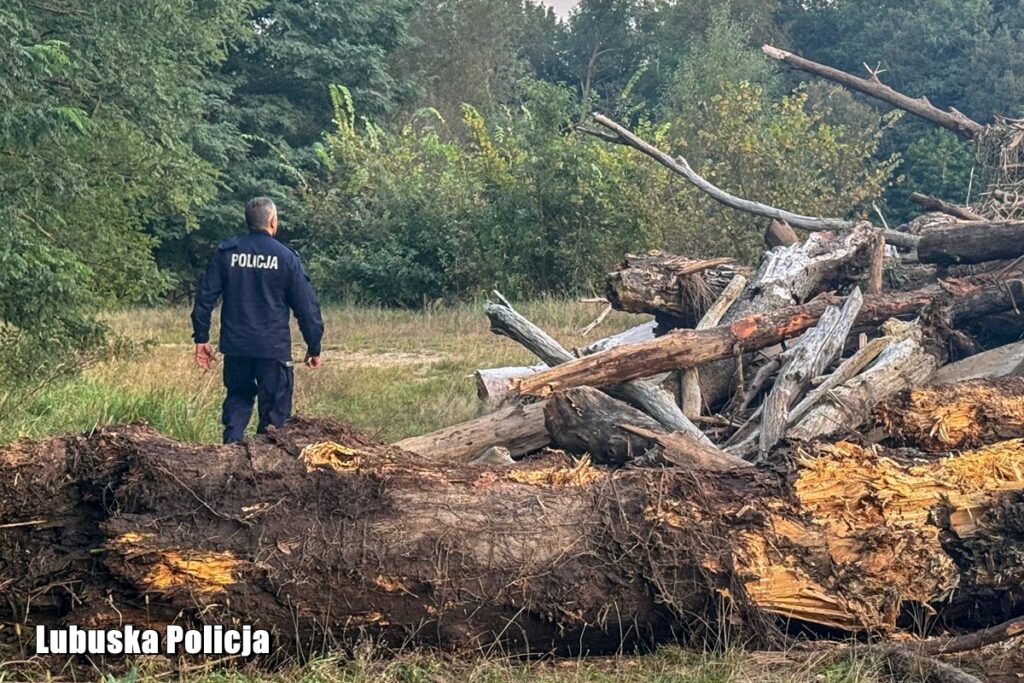 Fala kulminacyjna przechodzi przez Nowogród Bobrzański (AKTUALIZOWANY) Radio Zachód - Lubuskie