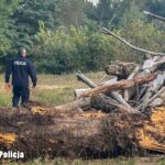 Fala kulminacyjna przechodzi przez Nowogród Bobrzański (AKTUALIZOWANY) Radio Zachód - Lubuskie