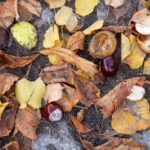 Stan alarmowy przekroczony w 21 miejscach Odry [AKTUALIZOWANY] Radio Zachód - Lubuskie