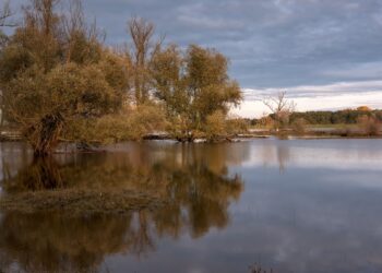 Rzecznik lubuskich strażaków o sytuacji na Odrze Radio Zachód - Lubuskie