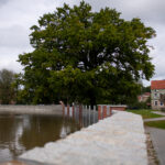 Stan alarmowy przekroczony w 21 miejscach Odry [AKTUALIZOWANY] Radio Zachód - Lubuskie