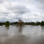 Stan alarmowy przekroczony w 21 miejscach Odry [AKTUALIZOWANY] Radio Zachód - Lubuskie
