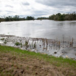 Stan alarmowy przekroczony w 21 miejscach Odry [AKTUALIZOWANY] Radio Zachód - Lubuskie