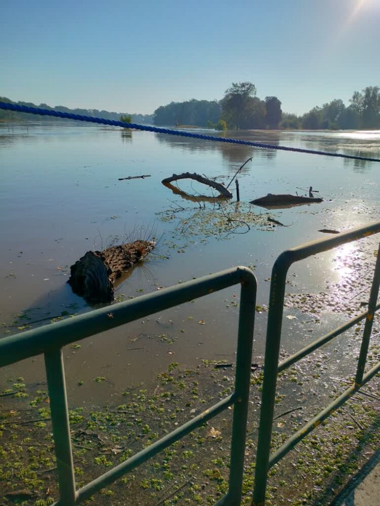 Odra Bytom Odrzański