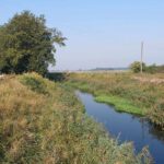 Fala kulminacyjna przechodzi przez Nowogród Bobrzański (AKTUALIZOWANY) Radio Zachód - Lubuskie