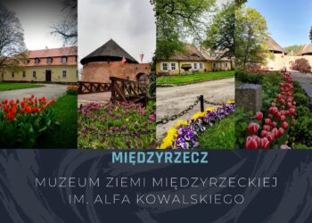 fot. Muzeum Ziemi Międzyrzeckiej im. Alfa Kowalskiego