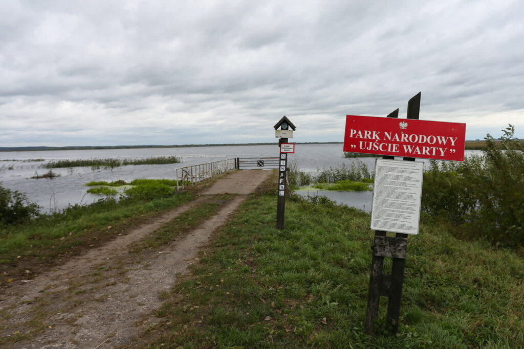 fot: PAP/Lech Muszyński