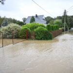 Krosnowice (woj. dolnośląskie). Fot. PAP/Maciej Kulczyński