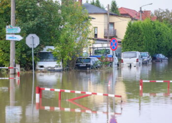 Fot. PAP/Michał Meissner