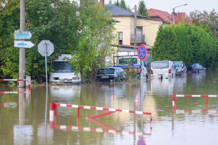 Fot. PAP/Michał Meissner