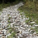 źródło: Facebook Lubuscy Łowcy Burz