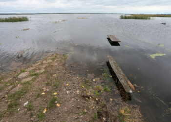 fot: PAP/Lech Muszyński