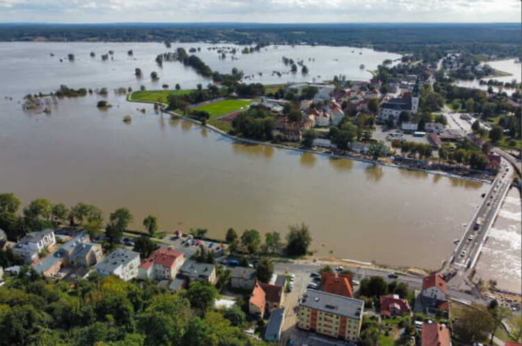 fot: PAP/Lech Muszyński