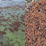 źródło: Facebook Lubuscy Łowcy Burz