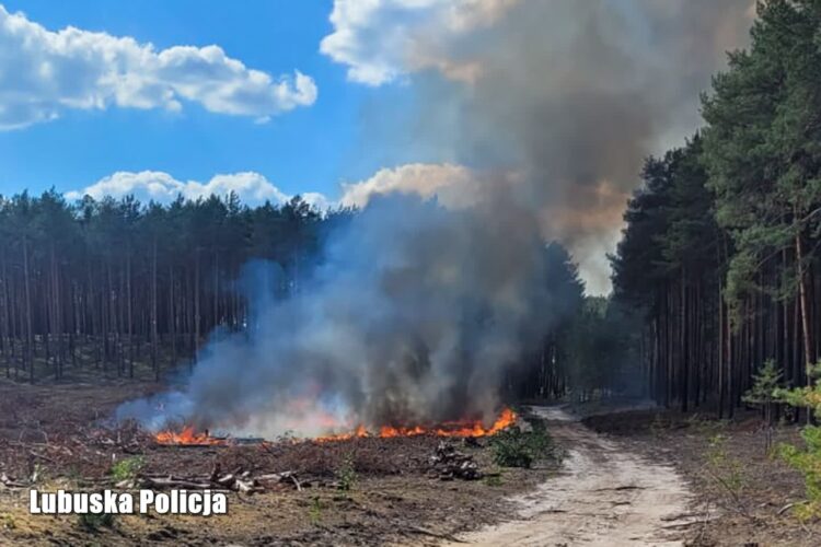 fot. Lubuska Policja