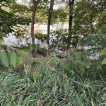 Fala kulminacyjna przechodzi przez Nowogród Bobrzański (AKTUALIZOWANY) Radio Zachód - Lubuskie