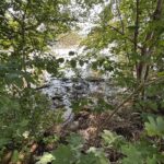 Fala kulminacyjna przechodzi przez Nowogród Bobrzański (AKTUALIZOWANY) Radio Zachód - Lubuskie