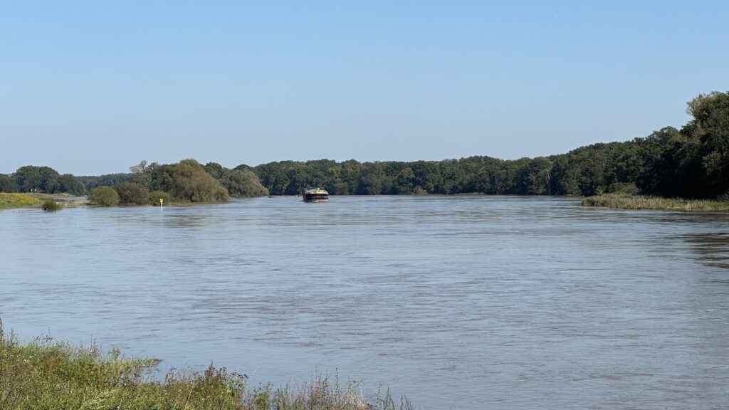 Zbliża się fala na Odrze. W Słubicach od niedzieli ograniczenia w ruchu tranzytowym [AKTUALIZOWANY] Radio Zachód - Lubuskie