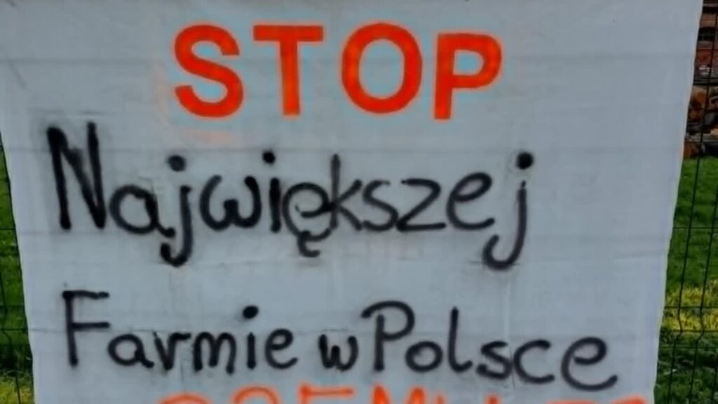 Nie chcemy żyć w klatce i strachu. Mieszkańcy Skąpego protestują Radio Zachód - Lubuskie