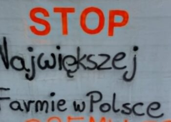 Nie chcemy żyć w klatce i strachu. Mieszkańcy Skąpego protestują Radio Zachód - Lubuskie