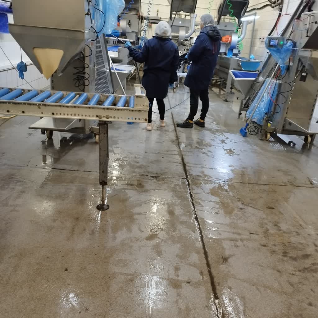 Amanda 10 Amanda3.jpeg