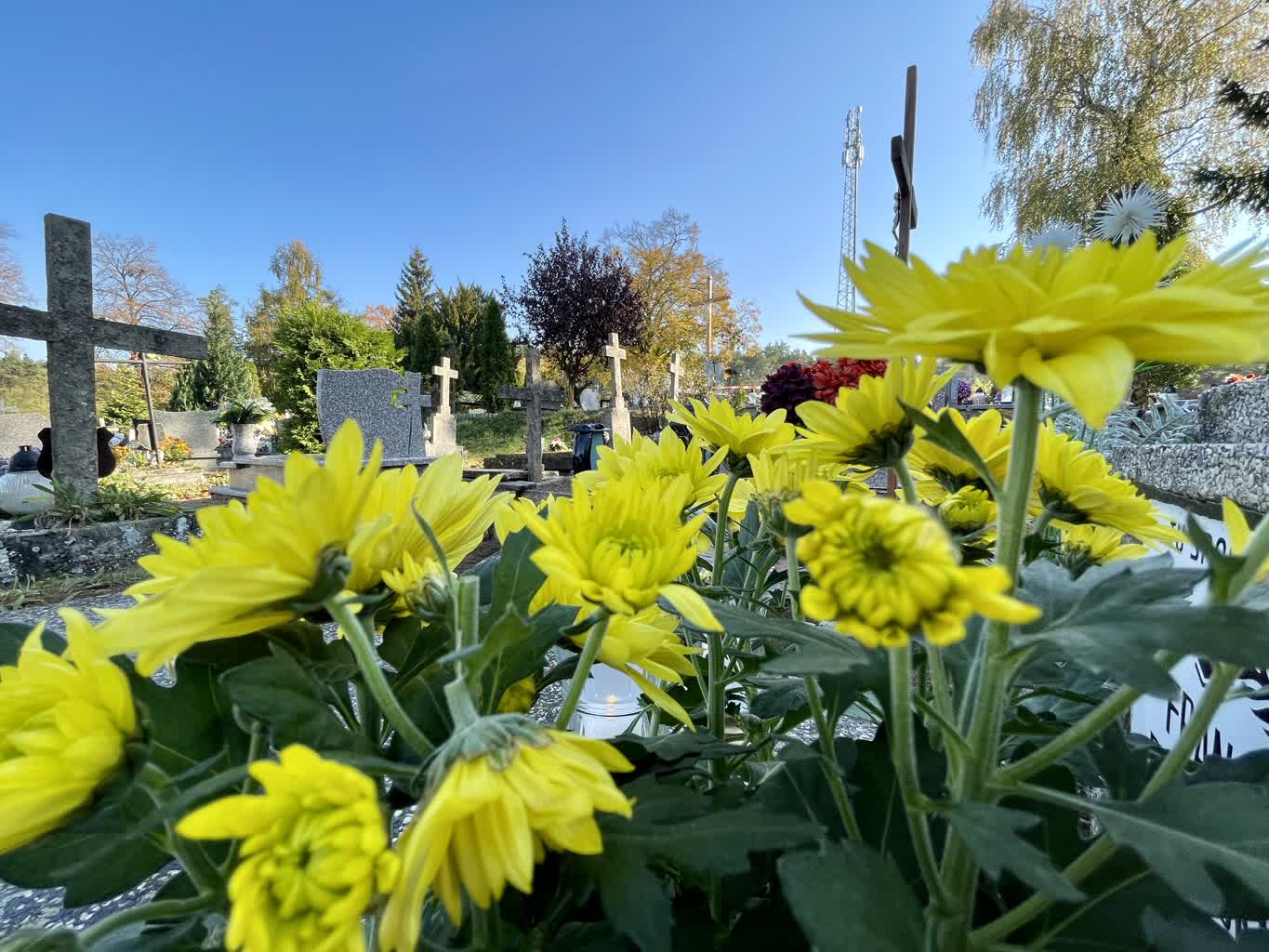 Policja ostrzega przed kieszonkowcami na cmentarzu Radio Zachód - Lubuskie