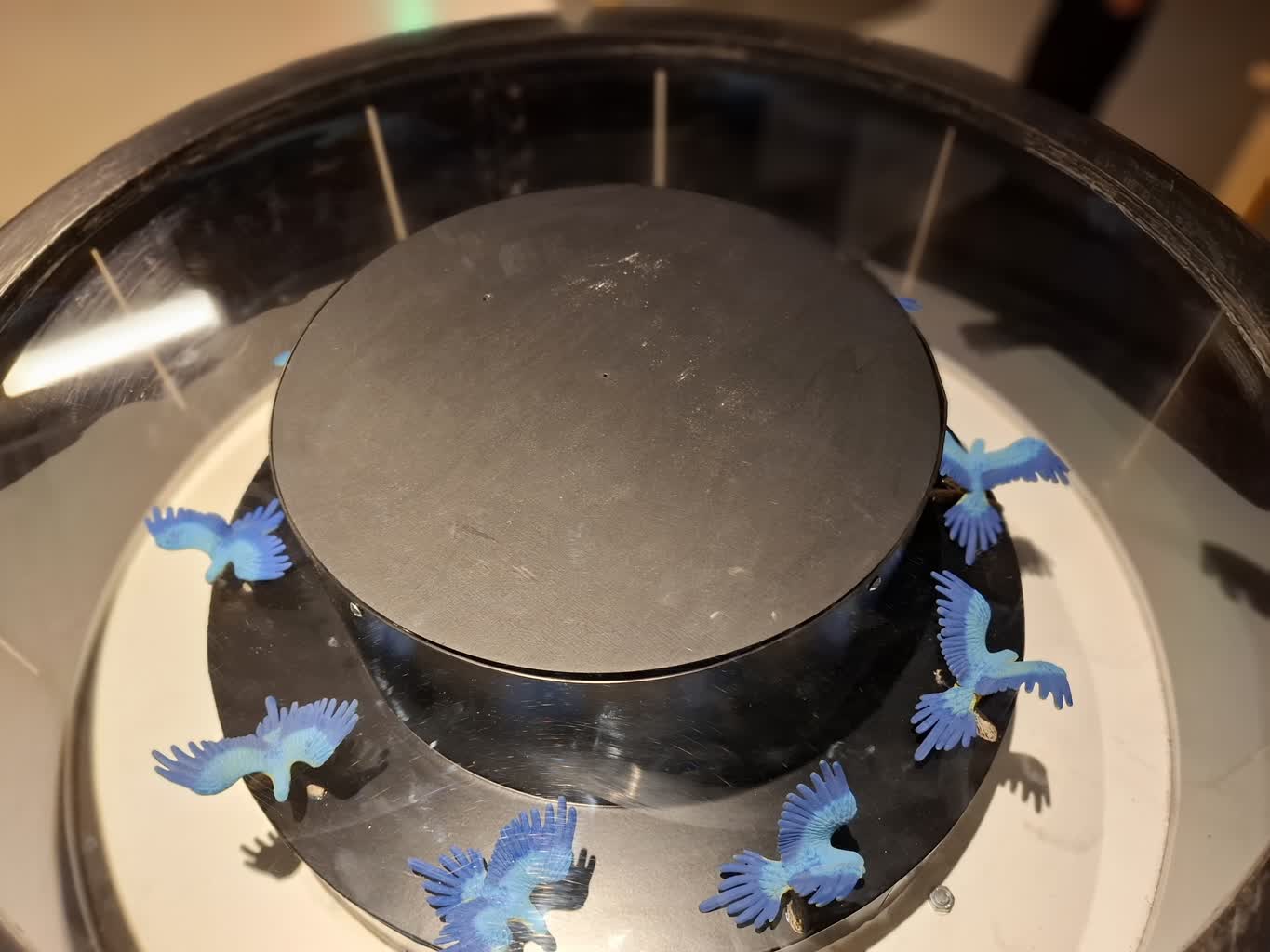 Edukacja przyrodnicza – od małego do dużego Radio Zachód - Lubuskie