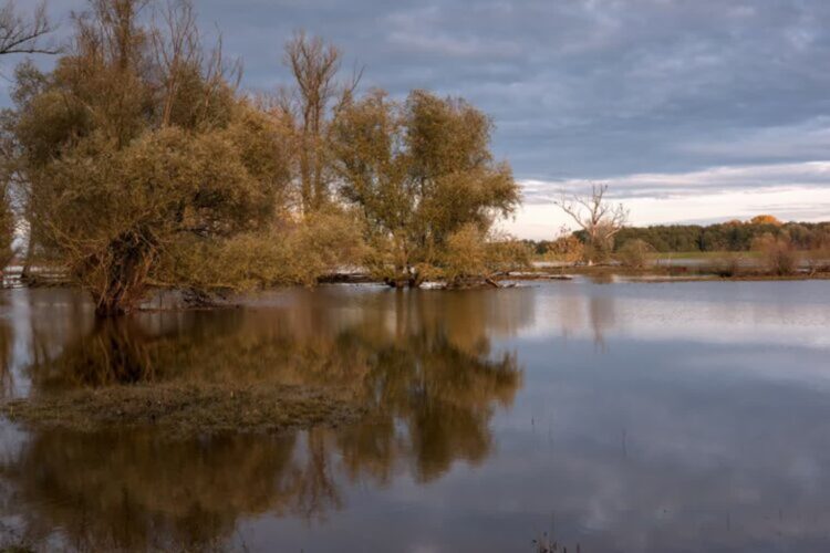 Odra poniżej stanów ostrzegawczych, woda szybko opada Radio Zachód - Lubuskie