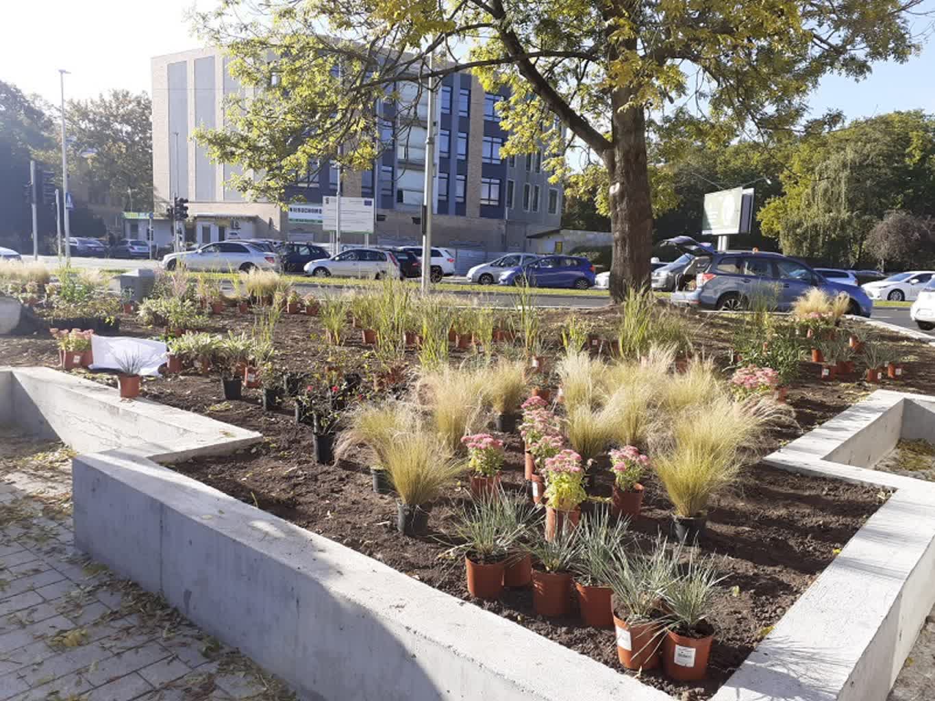 Powstaną nowe parki kieszonkowe. Wiemy gdzie Radio Zachód - Lubuskie