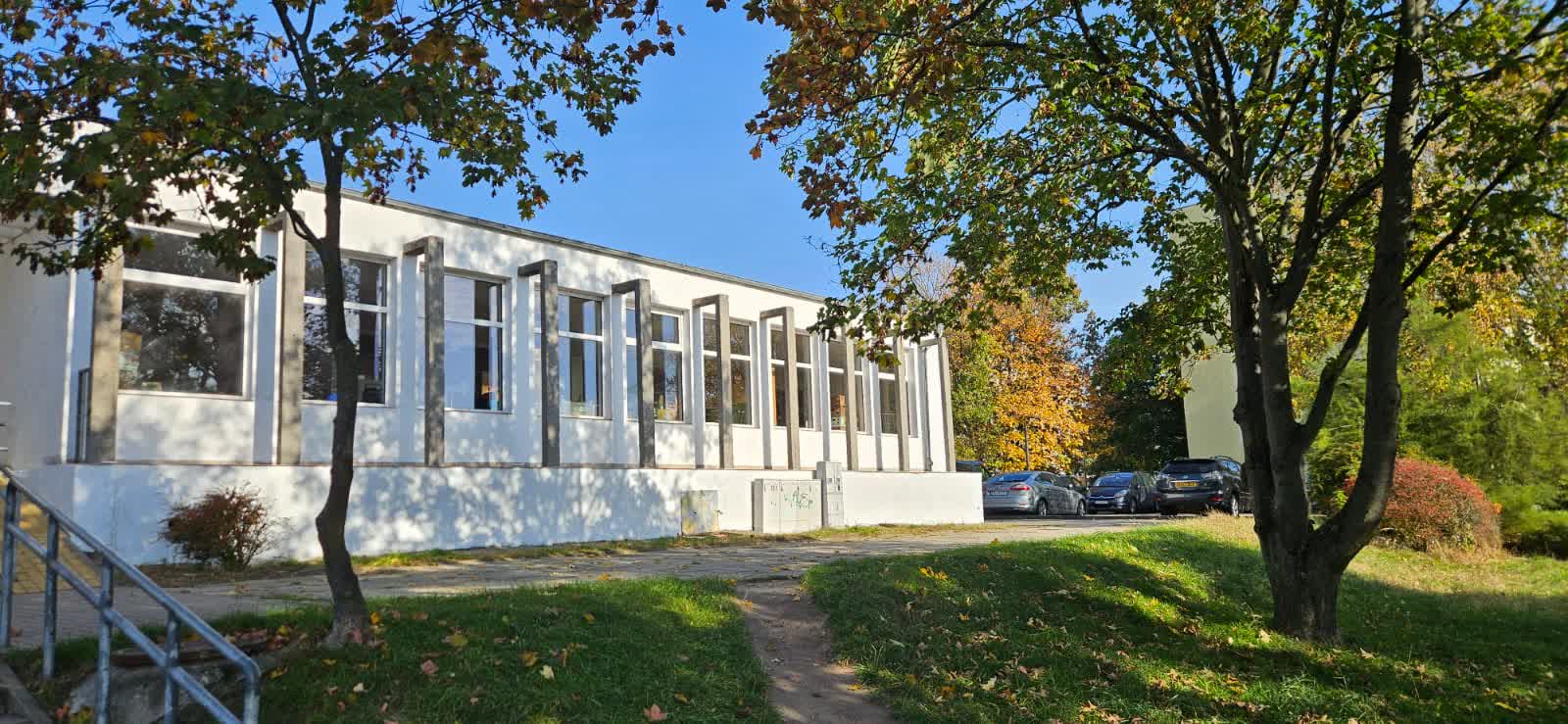 „Totalnie nieporozumienie”. Wiceprezydent o drzewach blokujących inwestycję Radio Zachód - Lubuskie