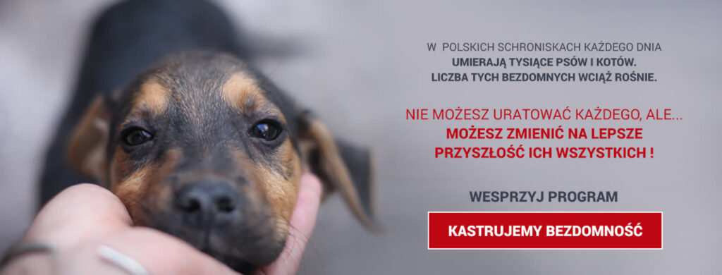 Kastrujemy bezdomność - ratujemy życie Radio Zachód - Lubuskie