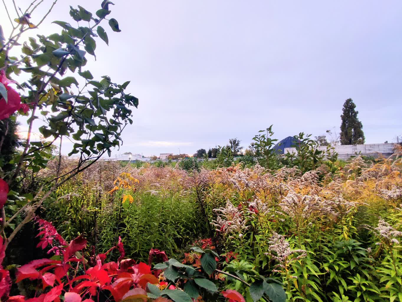 Nie chcą bloków, wolą zieleń i tereny rekreacyjne Radio Zachód - Lubuskie
