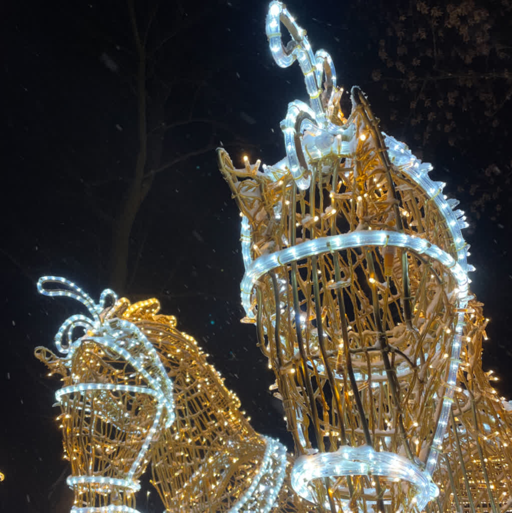 ZGK rezygnuje z iluminacji w Zatoniu Radio Zachód - Lubuskie