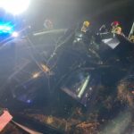 Fot. Policja Zielona Góra/FB