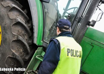 Zdjęcie ilustracyjne. Fot. Lubuska Policja