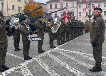 Fot. 5 Lubuski Pułk Artylerii/FB