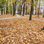 Foto: Gmina Sulechów