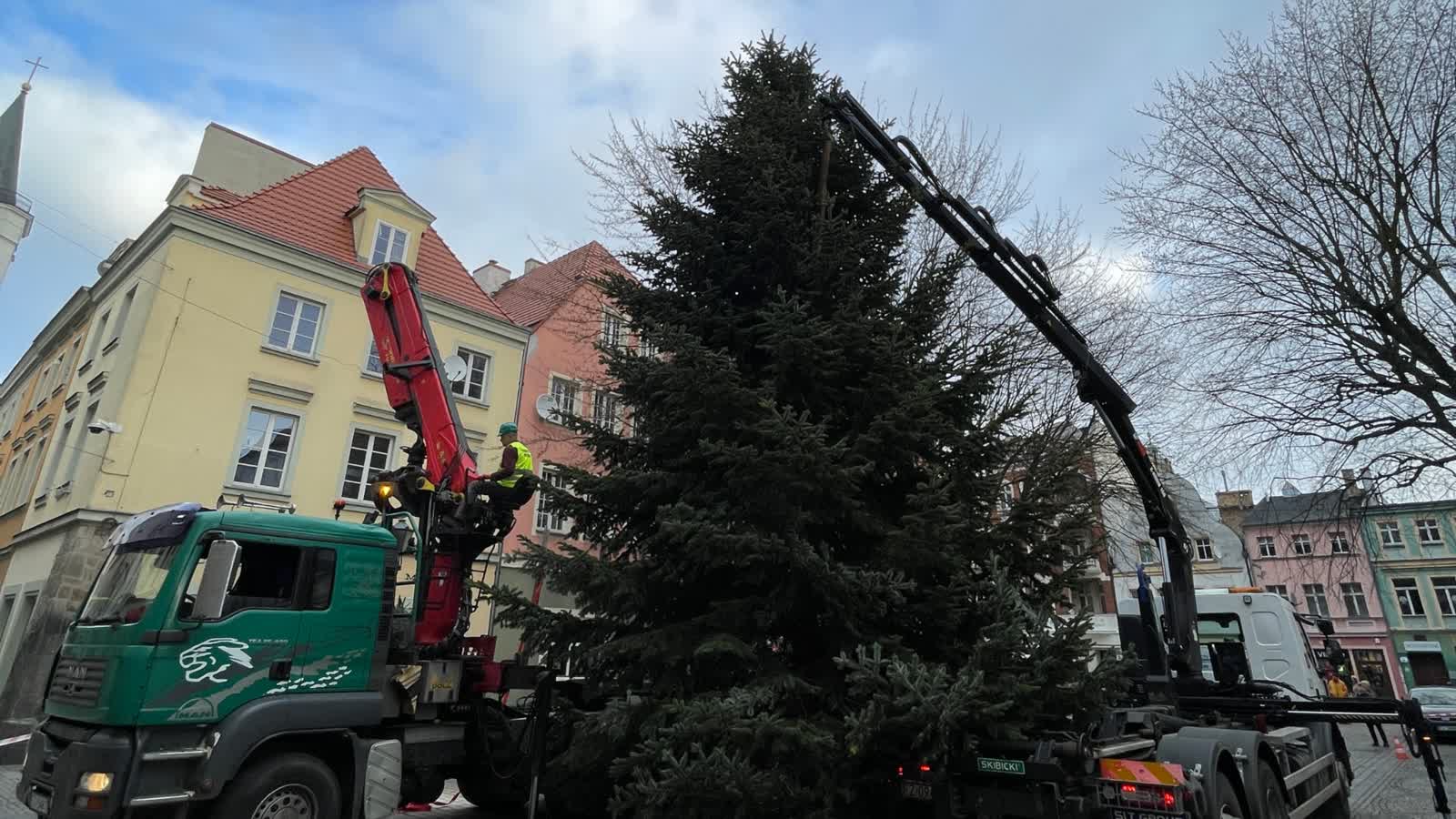 Świąteczna jodła stanęła na deptaku! [ZDJĘCIA] Radio Zachód - Lubuskie